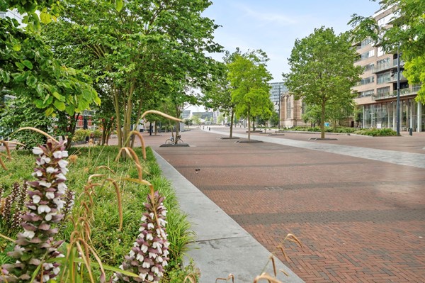 Scherm­afbeelding 2026-02-02 om 09.30.52.jpg